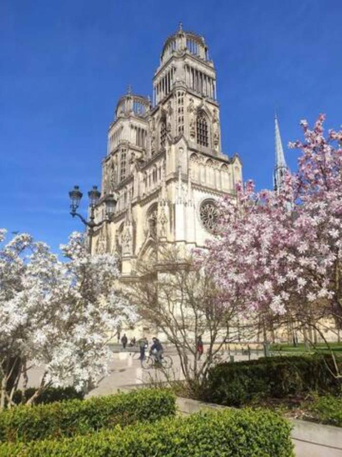 Апартаменты The Garden, Proche Bord De Loire Орлеан Экстерьер фото